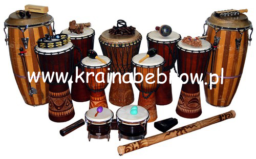 perkusja, grzechotki, tamburyna, cowbell, trójkąty, janczary, chimesy, kij deszczowy, bongosy, bębny djembe, conga